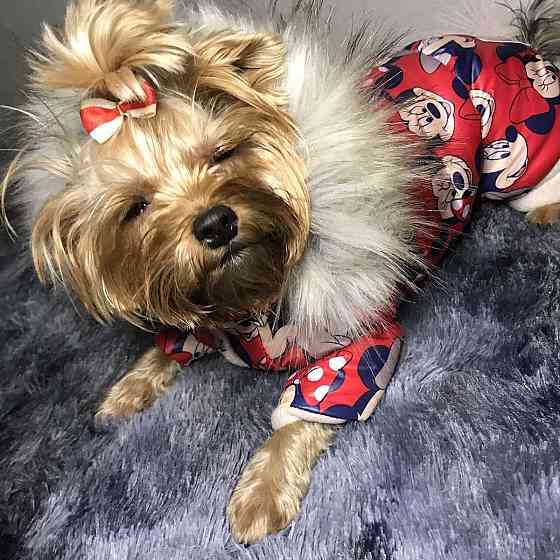 Ноутбук потужний із величезним екраном Nvidia 6Gb Inel i7 • Київ