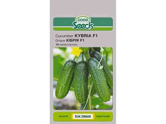 Огірок КІБРІЯ F1 [10 насінин] (10 пачок) ТМ GOOD SEEDS Київ