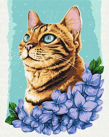 Лазурний котик © Anna Kuly Київ