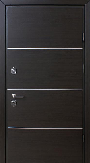 Двері вуличні, STRAJ Proof, модель PARTY D, комплектація Proof Standard Mottura 870 Київ - фото 1