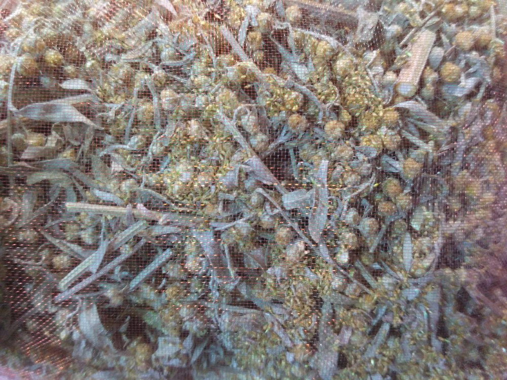 Запарка для бані,сауни, ванни 