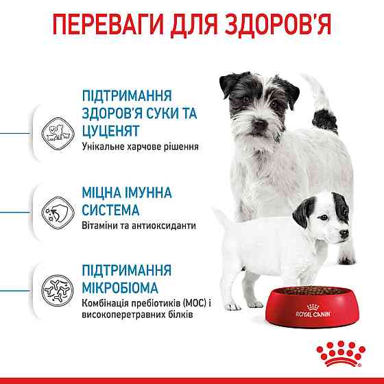 Корм для новорожденных собак ROYAL CANIN MINI STARTER 8 кг Киев