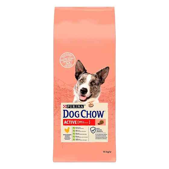 Сухой корм DOG CHOW Active Adult 1+ для взрослых собак с повышенной активностью, с курицей, 14 кг Киев