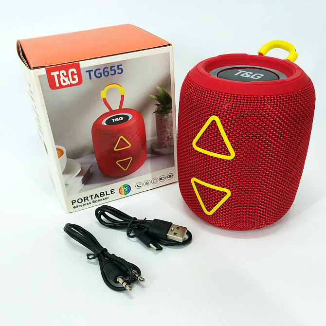 Громкая колонка для вечеринки TG655, Активная блютуз колонка, Блютуз колонка DH-331 с радио Киев - изображение 9
