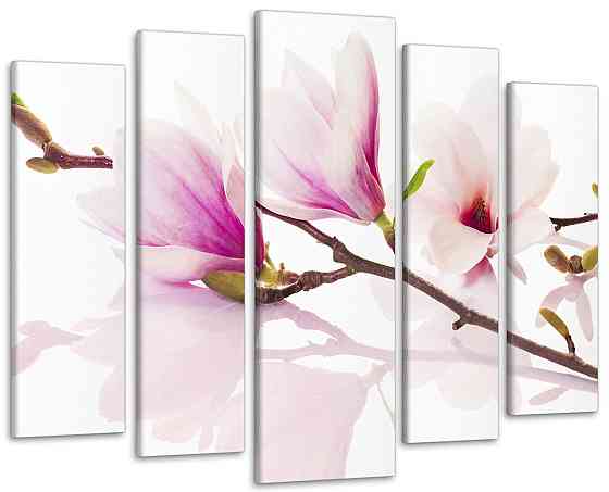 Модульна картина Квіти Магнолія Art-20_5 Київ