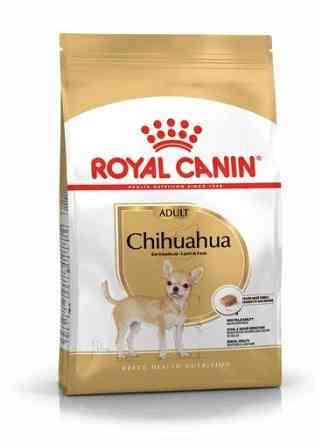 Royal Canin Chhuahua Adult (Рояв Канін Чіхуахуа Едалт) сухий корм для собак чіхуахуа від 8 місяців 1.5 кг. Запоріжжя