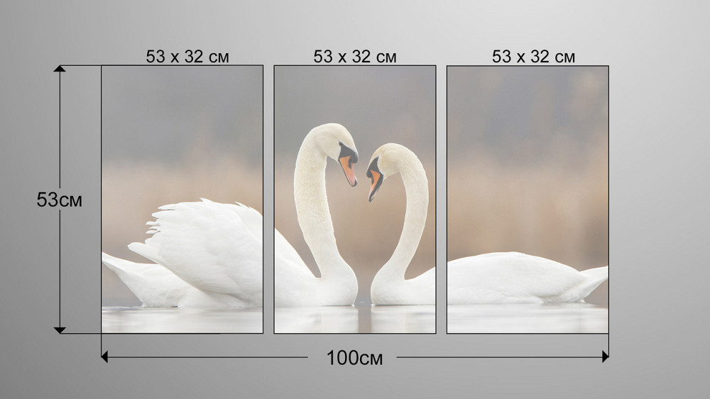 Модульна картина Природа Лебеді Аrt-127_3А Київ - фото 3