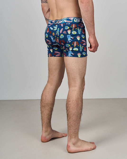 Боксеры мужские Tom John - Кактусы 2200-17 XL Киев - изображение 2