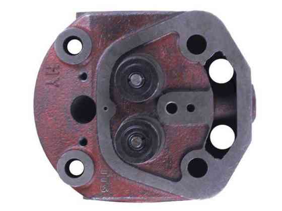 Головка циліндра в зборі на мототрактор із дизельним двигуном 192N, під форсунку діаметром 21 мм. Мукачево