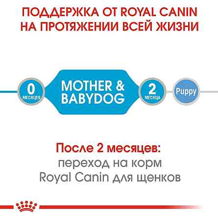 Royal Canin Starter Mousse Mother Babydog (Рояв Канін Стартер Мазер Бебідог) вологий корм для вагітних собак 0.195 кг. Запоріжжя