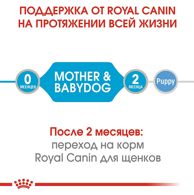 Royal Canin Starter Mousse Mother Babydog (Рояв Канін Стартер Мазер Бебідог) вологий корм для вагітних собак 0.195 кг. Запоріжжя - фото 4