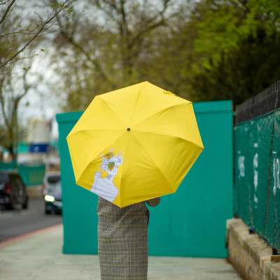 Парасоля Fulton L884-040171 National Gallery Minilite-2 UV Sunflowers (L884-040171) Вінниця - фото 11