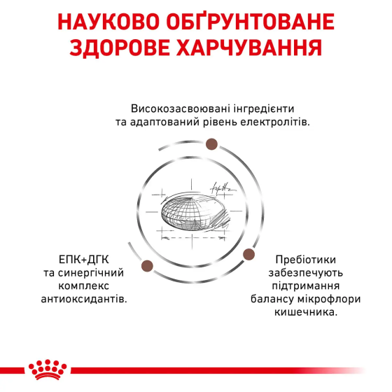 Royal Canin Gastrointestinal (Роял Канін Гастро-Інтестинал) сухий корм для собак у разі розладів травлення Запоріжжя