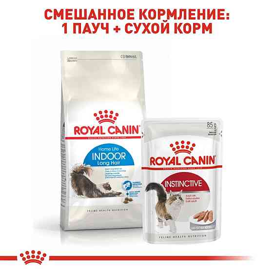 Royal Canin Indoor Long Hair (Рояв Канін Індор Лонгхайр) сухий корм для довгошерстих кішок від 12 місяців 2 кг. Запоріжжя