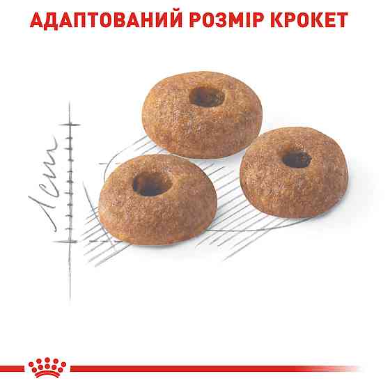 Корм для домашних и уличных кошек ROYAL CANIN FIT 2.0 кг Киев