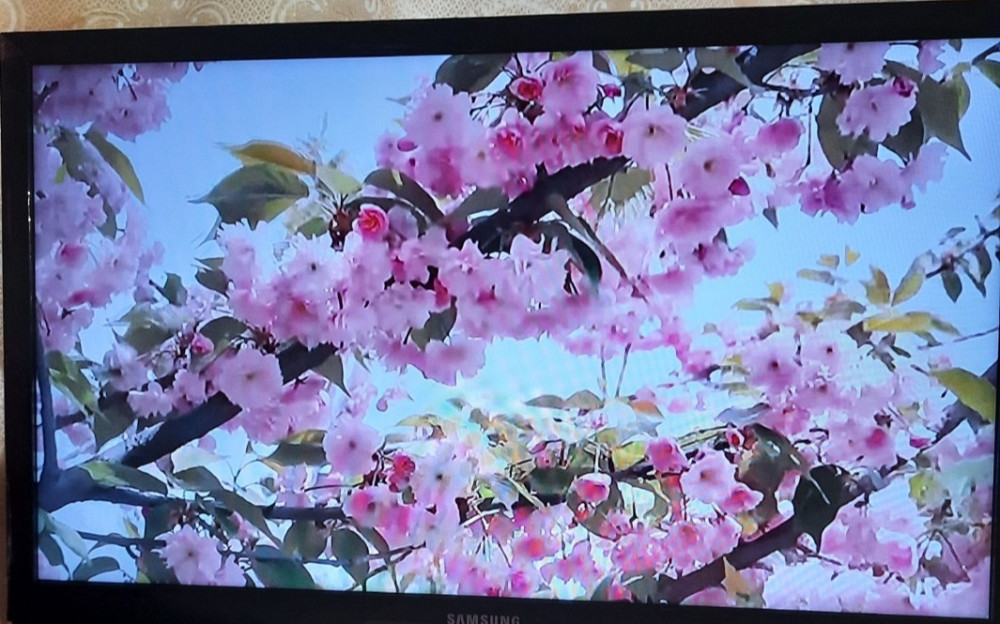 Телевізор: Samsung N4500. Харків - фото 3