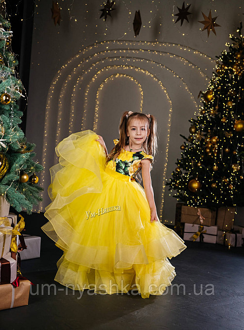 Длинное нарядное платье на 6-7 лет Кривой Рог - изображение 2