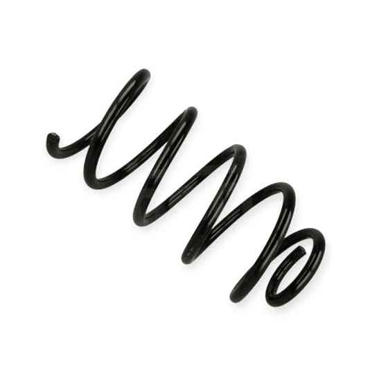 Пружина Mercedes-Benz Vito (W638) 96-03 передняя Мукачево