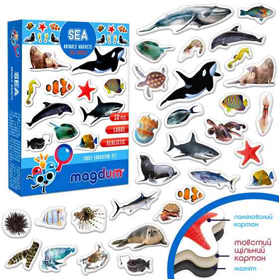 Дитячий набір магнітів Морські мешканці фото ML4031-28 EN Вінниця