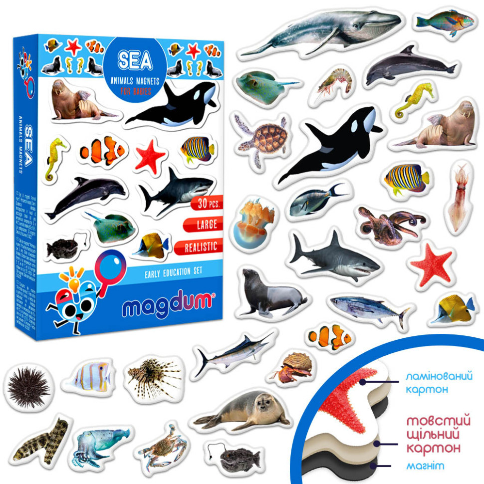 Дитячий набір магнітів Морські мешканці фото ML4031-28 EN Вінниця - фото 3