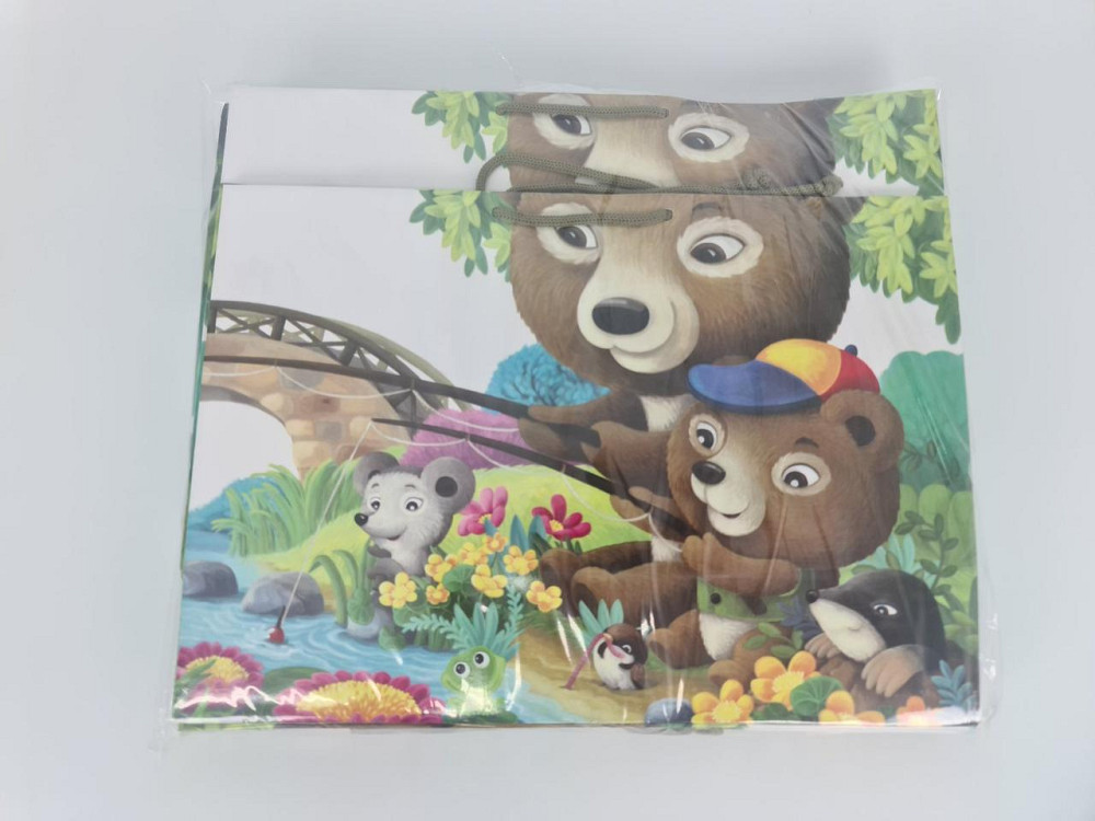 Бумажный большой горизонтальный пакет  36/22/10(артBG-164) (12 шт) Харьков - изображение 4