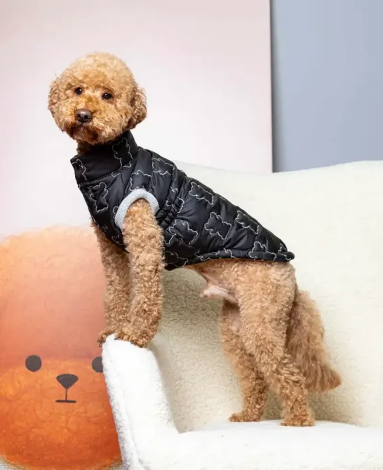 Жилетка для собак м'яка тепла плащівка на синтепоні Dogs Bomba весна на кнопках Ведмедики чорна 8 Одеса - фото 4