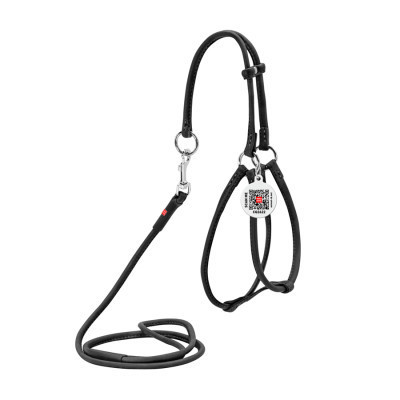 Шлей для собак WAUDOG Soft с QR паспортом круглая Д 6 мм А 26-46 см В 30-50 см черная (46231) Винница - изображение 1