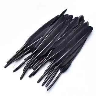 Перья черные натуральные 100 шт Киев