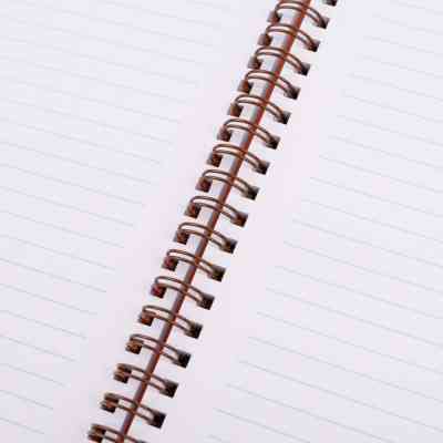 Зошит Yes А5 Line Friends. Sally пластикова обкладинка 80 аркушів, лінія (765736) Вінниця