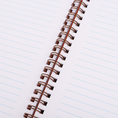 Зошит Yes А5 Line Friends. Sally пластикова обкладинка 80 аркушів, лінія (765736) Вінниця - фото 4