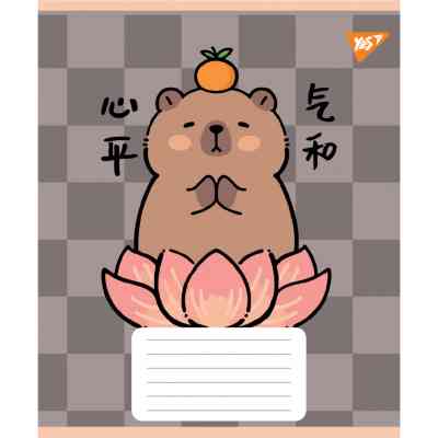 Зошит Yes Capy Tay А5 24 аркушів лінія (767804) Вінниця