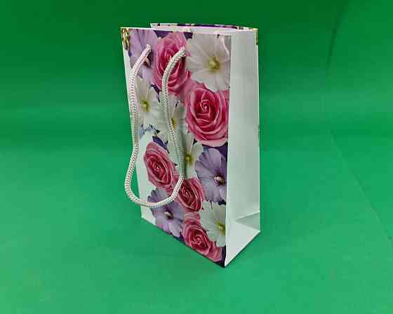 Пакет паперовий подарунковий малий 11/18/5 (арт М027) (12 шт.) Харків