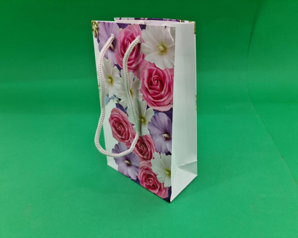 Пакет паперовий подарунковий малий 11/18/5 (арт М027) (12 шт.) Харків - фото 1