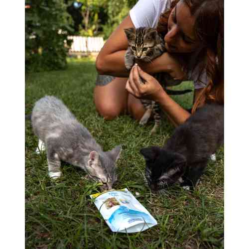 Витамины GimCat Every Day Kitten для котят таблетки 40 г Киев