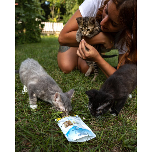 Вітаміни GimCat Every Day Kitten для кошенят таблетки 40 г Київ - фото 5