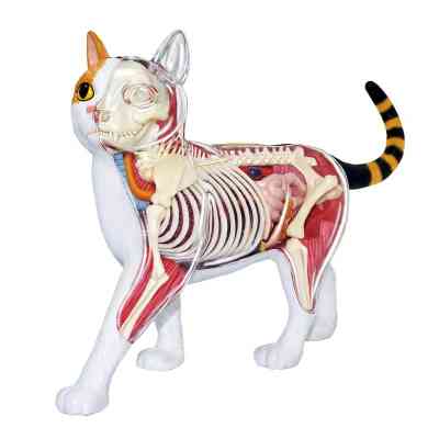 Пазл 4D Master Master Кот (FM-622040) Винница