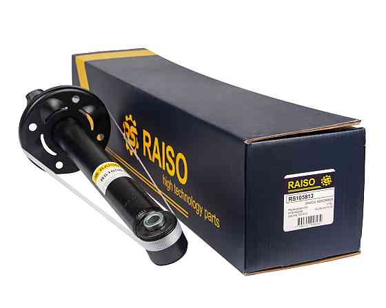 Амортизатор задній Raiso (Швеція) Фольксваген Пассат Б4/Volkswagen Passat B4 #RS105813 UAIUBNG22 Ковель