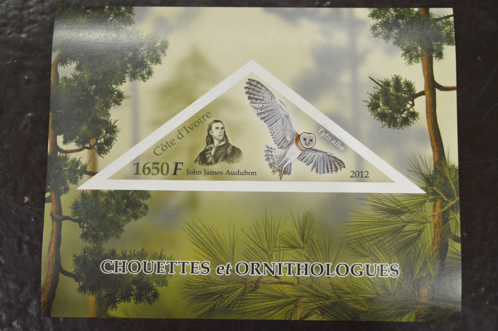 Кот-д’Ивуар. Фауна. Марки. Блок. 2012 год (И) Полтава - изображение 1