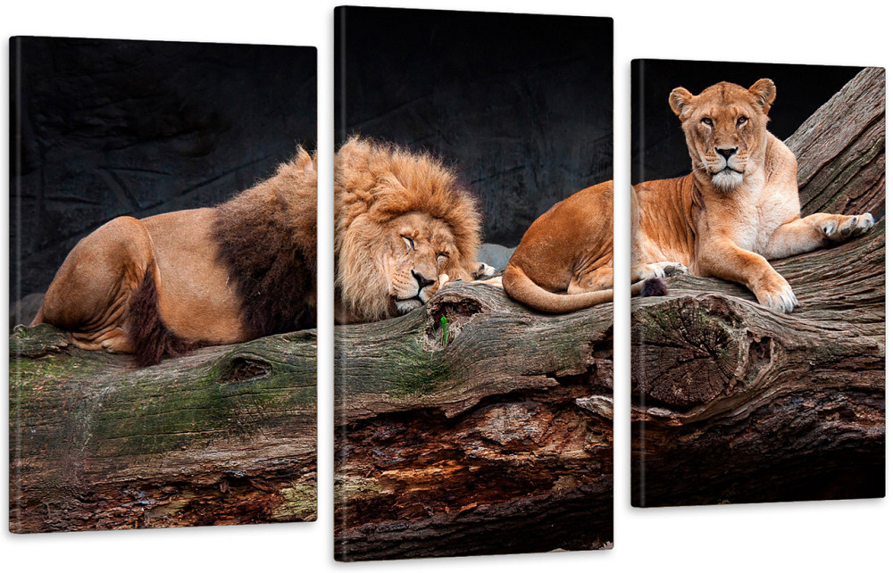 Модульна картина у вітальню/ спальню Пара Левев Art-563_3 70x130 см Київ - фото 1