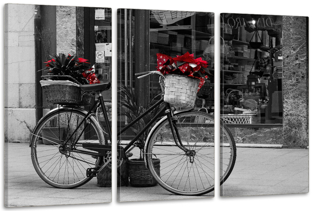 Модульная картина в гостиную / спальню  Велосипед з квітами    ART-296_3A Киев - изображение 1