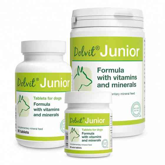 Дополнительный корм для собак Dolvit Junior, 520 таб. 800 м (витамины) Винница
