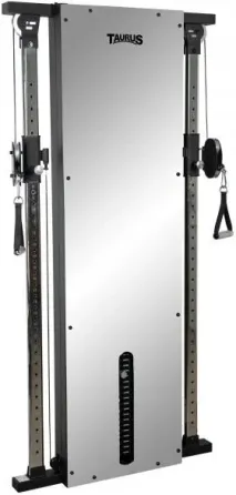 Тренажер Taurus Podwójny Wyciąg Linowy Design Line 67,5 Kg Дзеркало Киев