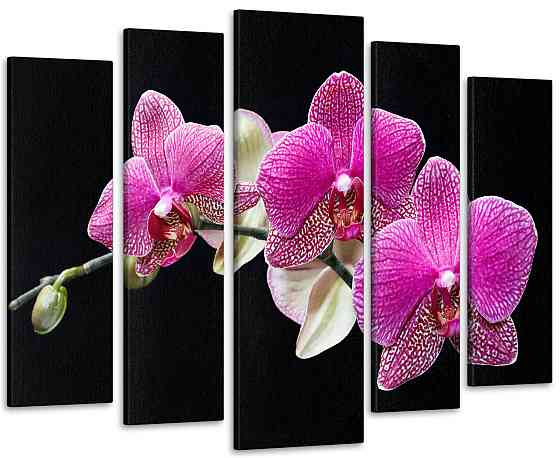 Модульная картина Орхидея Art-125_5 115x170 см Киев