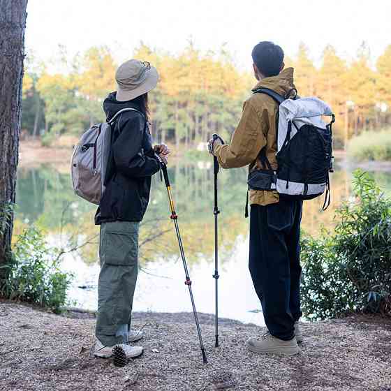 Трекінгова палиця 3-сек. Naturehike Men ST 01 6061 AL NH17D001-Z, алюміній,  синя Киев
