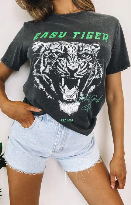 Футболка жіноча з принтом  42 Сіра 2664083208 Дніпро - фото 1