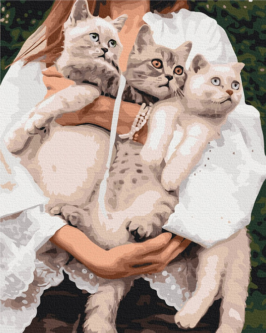 Улюблені муркотики Київ - фото 1
