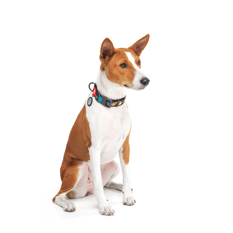 Нашийник для собак нейлоновий WAUDOG Nylon з QR-паспортом, малюнок "Рік і Морті 3", пластиковий фастекс, XL, Ш Вінниця - фото 7