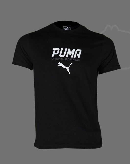 Мужская однотонная трикотажная футболка Puma / p.S(44) Киев - изображение 1