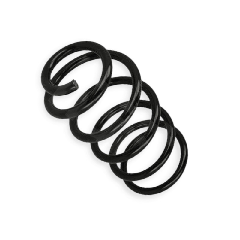 Пружина Punto 03-задня Мукачево - фото 1