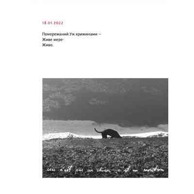 Книга PRIMITIVO - Мар'яна Прохасько Видавництво Старого Лева (9789664481042) Вінниця
